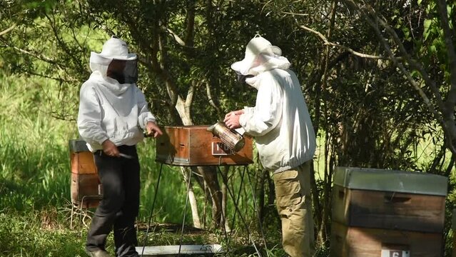 Apiculture, rucher en Nouvelle-Cal&eacute;donie