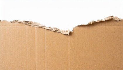 part of cardboard box with torn rough edges and torn paper isolated on white background kraft cardboard texture with copy space - Powered by Adobe
