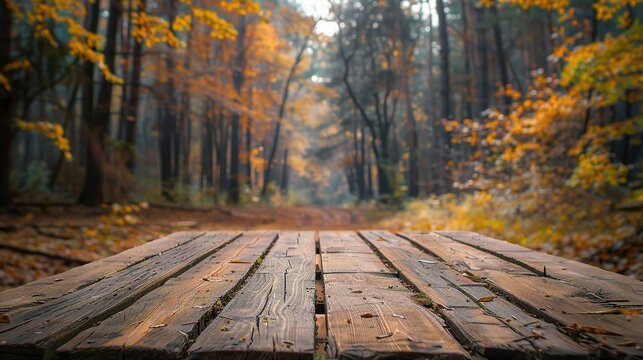 Wooden board empty table blurred background. Perspective brown wood table over blur trees forest background
