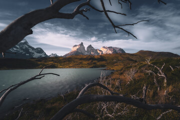 Los Cuernos viewpoint with light hitting the mountain peak and branch as foreground and nice sky (Torres del Paine, patagonia, chile)