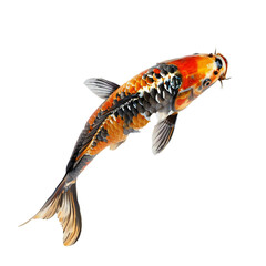 Carp fish isolated on transparent background Generative Ai