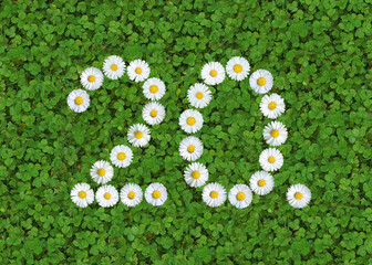 number written with daisies (bellis perennis) on green clover © Andreas