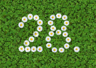 number written with daisies (bellis perennis) on green clover © Andreas