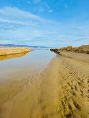 beach and sea
