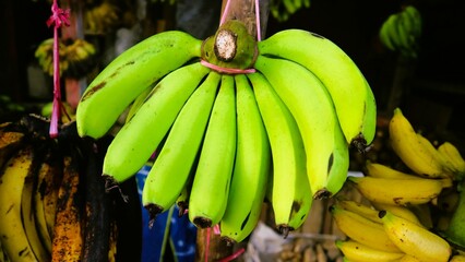 bunch of banana hang on traditional market stall for sale