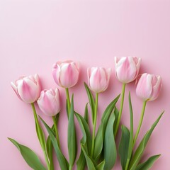 Fototapeta premium bouquet of tulips flowers on a pink background 