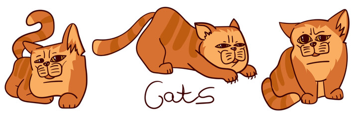 Cartoon red cats. Cartoon fat striped cats show emotions. An animal kitten in different poses. Vector isolated collection of red-colored cats in different emotions and positions with an inscription