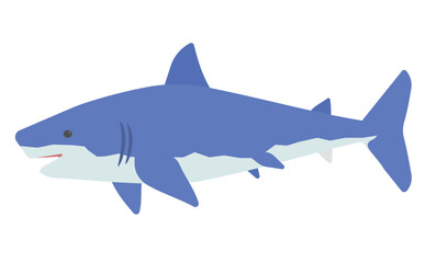 ホオジロザメのイラスト