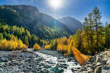 Goldener Oktober im Val Morteratsch, Pontresina, Engadin, Graubünden, Schweiz