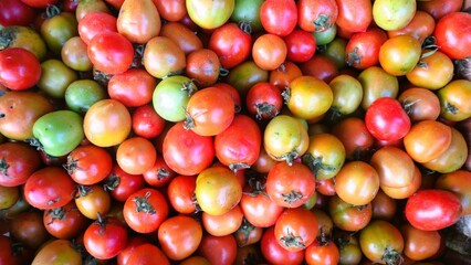 Top view ripe tomatoes in container