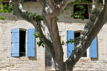 Beautiful stone facade in Beaucaire, Provence, Gard, with windows and blue shutters. A plane tree in the foreground.