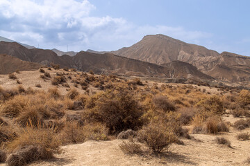 Cerros del paraje del Calvario en las cercanías de Tabernas, Almería, España. Paisaje árido constituido por colinas y barrancos con escasa vegetación.