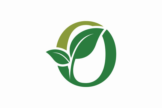 tree leaf logo design with letter logo o consept premium vector
