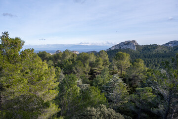 Winter landscape in the Alpilles, Saint Rémy de Provence, France.