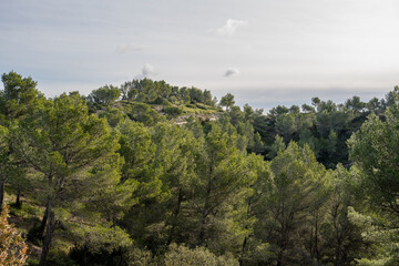 Fototapeta na wymiar Winter landscape in the Alpilles, Saint Rémy de Provence, France.