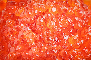 Background or backdrop made of top view of salted red caviar or salmon fish roe or orange colour...