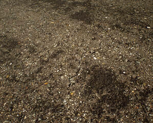 Worn out rough tarmac of a street. - 743715826