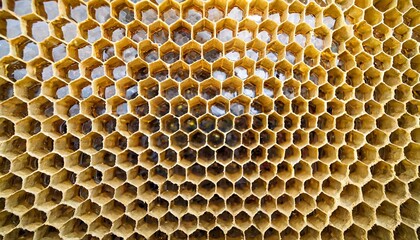 gold honey hexagonal cells seamless texture mosaic or speaker fabric shape pattern golden honeyed comb grid texture and geometric hive hexagonal honeycombs vector illustration