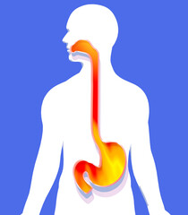 3d illustration of stomach and esophagus to the mouth with fire and indigestion. Showing digestive system on cutout human silhouette on blue background.