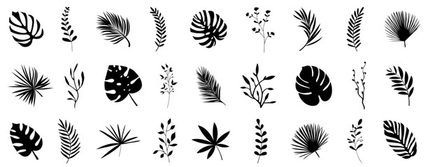 Tropical leaf and flower branch silhouette collection. Set of palm leaves and tree branch silhouettes isolated on white background. Beautiful palm tree leaf silhouette © top dog
