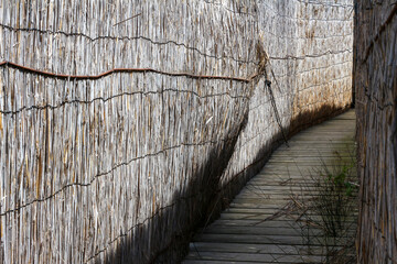 Narrow passage to a bird observatory in Camargue, Tour du Valat, Arles, France. The walls are made of wild cane or Arundo donax and the ground is made of wood. Vanishing and diminishing point. - obrazy, fototapety, plakaty