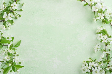 Fototapeta na wymiar Spring Easter background. Passover blooming white apple or cherry blossom on green background. Happy Passover background. World environment day. Easter, Birthday, womens day holiday. Top view Mock up.