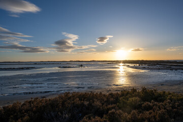 Beautiful sunset in the marshes of Camargue, Salin de Giraud, Beauduc, Arles, France. Salicornia in...