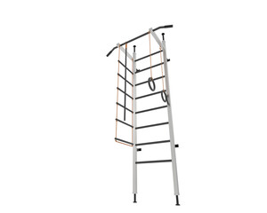 Gym equipment isolated on background. 3d rendering - illustration