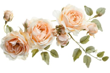 Peach artificial roses arrangement isolated on white background.