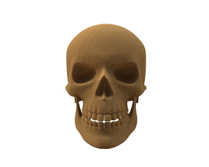 Skull isolated on background. 3d rendering - illustration