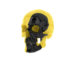 Skull isolated on background. 3d rendering - illustration