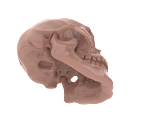 Skull isolated on background. 3d rendering - illustration