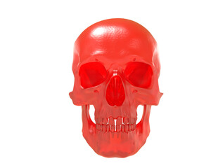 Skull isolated on background. 3d rendering - illustration