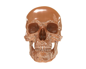 Skull isolated on background. 3d rendering - illustration
