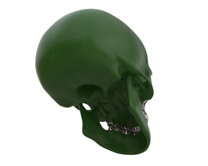 Skull isolated on background. 3d rendering - illustration