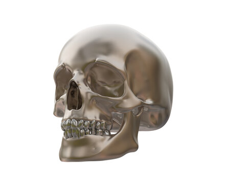 Skull isolated on background. 3d rendering - illustration