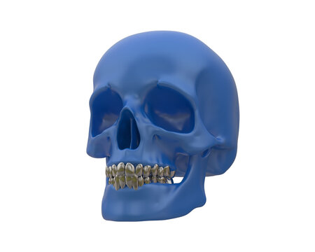 Skull isolated on background. 3d rendering - illustration