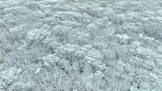 Drone View of Jeju island in South Korea, snow mountain, winter