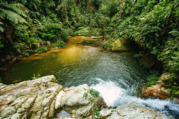 Small natural pond in jungle. Hard trek to hidden ancient ruins of Tayrona civilization Ciudad Perdida in Colombian jungle. Santa Marta, Sierra Nevada mountains, Colombia wilderness landscape. - 743734211