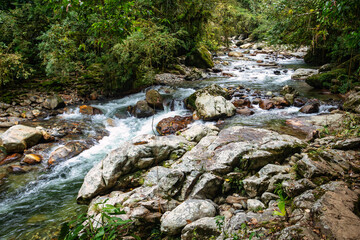 Small river in jungle. Hard trek to hidden ancient ruins of Tayrona civilization Ciudad Perdida in Colombian jungle. Santa Marta, Sierra Nevada mountains, Colombia wilderness landscape. - 743734448