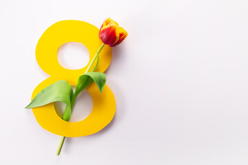 International Women's Day greeting card. 8 March concept. Tulip on yellow number eight on white background. Copy space
