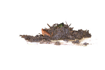piece of earth isolated on white background