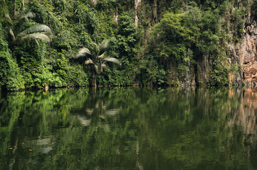Serene lake in Malaysian tropical rainforest