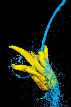 Dynamic splash of blue paint colliding with a Buddha's hand citron against a dark background, creating a visually striking contrast