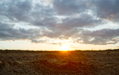 Farmer holding ground in hands closeup while sunset. Male hands touching soil on the field during sunset. Farmer is checking soil quality before sowing. Side view.