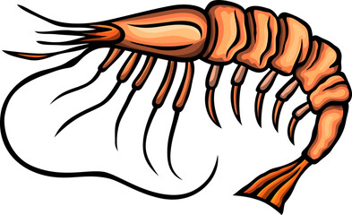 shrimp cartoon funny illustration