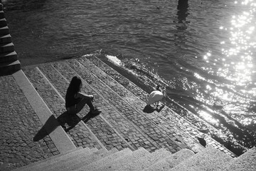 Girl watching swan Lake Como Italy idyllic scenery peaceful. - 743767463