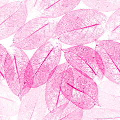 Time of year in botanical abstract style. Leaf skeleton in pastel colors, seamless stylish vector background.