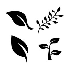 Set of Leaves vector set isolated on white background