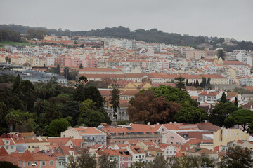 Fototapeta na wymiar panorama view with red roofs and green trees and bushes of city lisbon in portugal